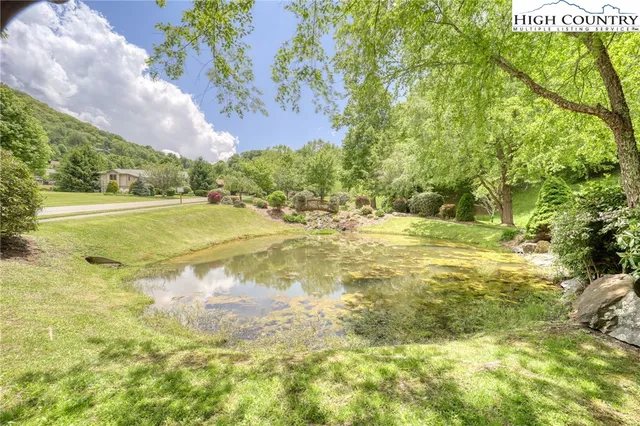 a view of lake from a garden