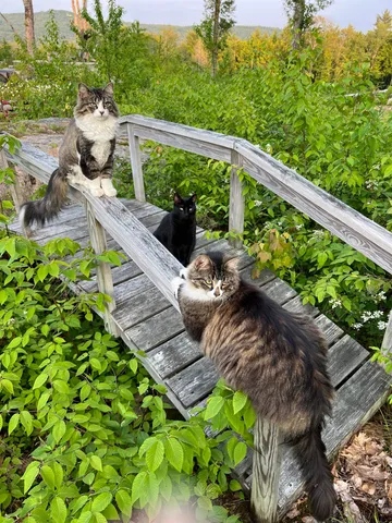 $2,900,000 | 161 Concord Road, Keene, NH 03431