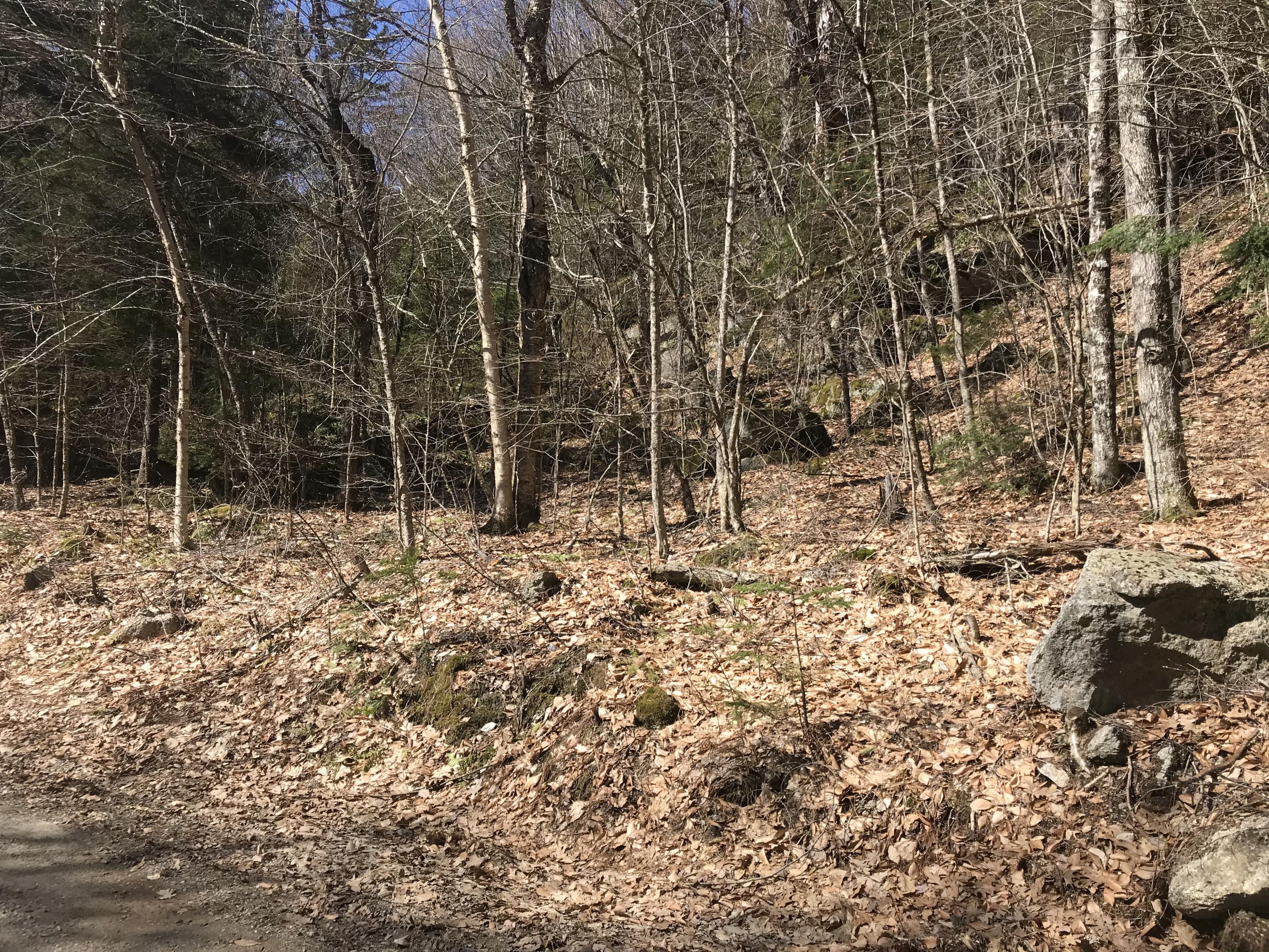 0 Fitts Mountain Road Dedham, ME 04429 - Photo 42 of 83 qhz0gxsVTQq%KGtwFTQM8Q