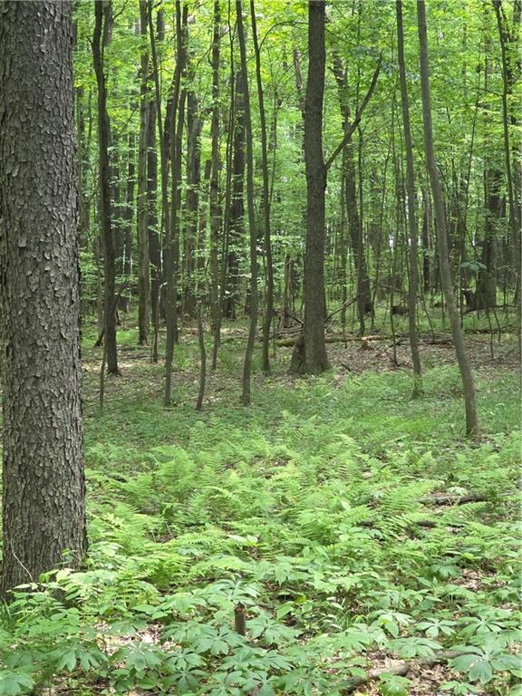 0 Silvis Road Homer City, PA 15748 - Photo 10 of 13