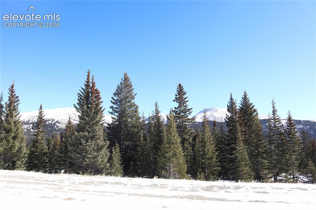 1480 Roberts Road Alma, CO 80420 - Photo 21 of 26 Winter view from the street