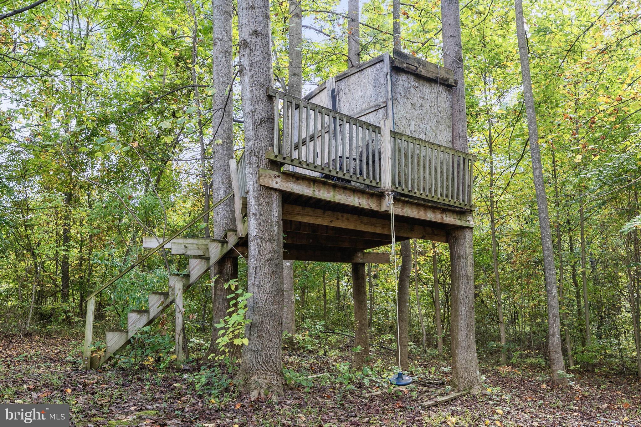 4318 Remount Road Front Royal, VA 22630 - Photo 38 of 42 A whimsical treehouse hideout