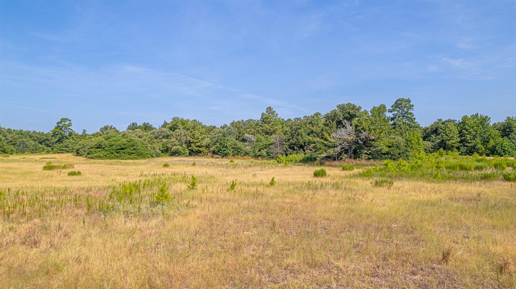 Tbd County Road 228 Centerville, TX 75833 - Photo 15 of 16 a view of an ocean and beach