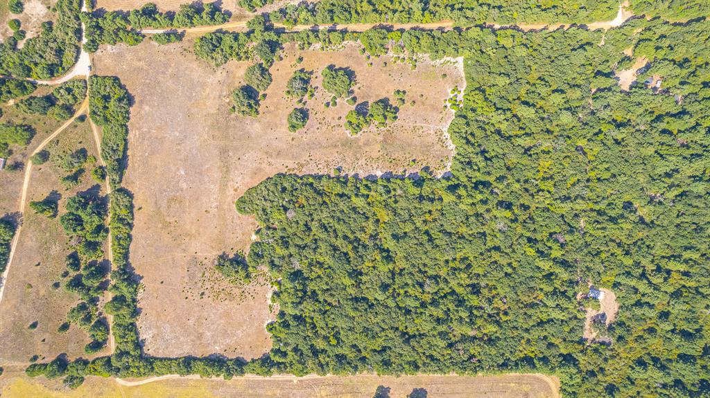 Tbd County Road 228 Centerville, TX 75833 - Photo 16 of 16