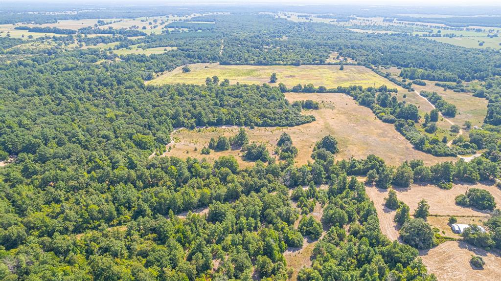 Tbd County Road 228 Centerville, TX 75833 - Photo 7 of 16 an aerial view of residential houses with outdoor space