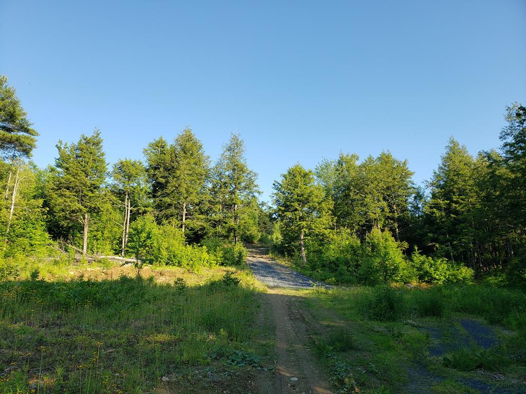 409 Hole In The Wall Road Solon, ME 04979 - Photo 5 of 40 20220621_182842_06-22-2022