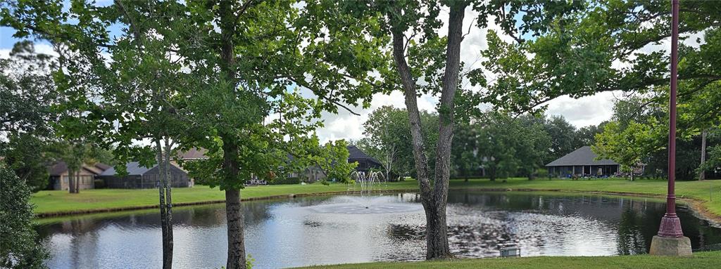 41 Creek Bluff Way Ormond Beach, FL 32174 - Photo 32 of 33 a view of a lake view with large trees