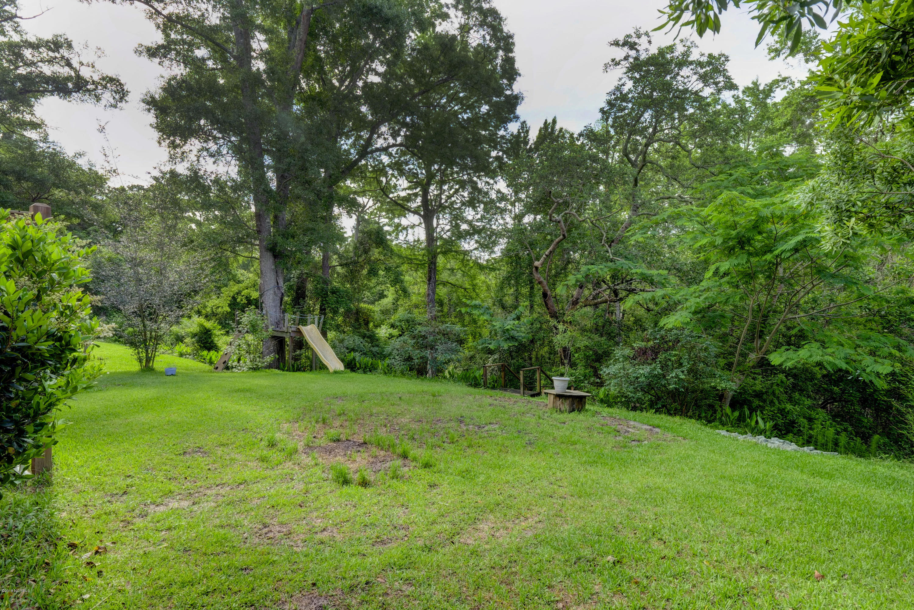 139 Goose Neck Road West Rocky Point, NC 28457 - Photo 26 of 38 Back Yard