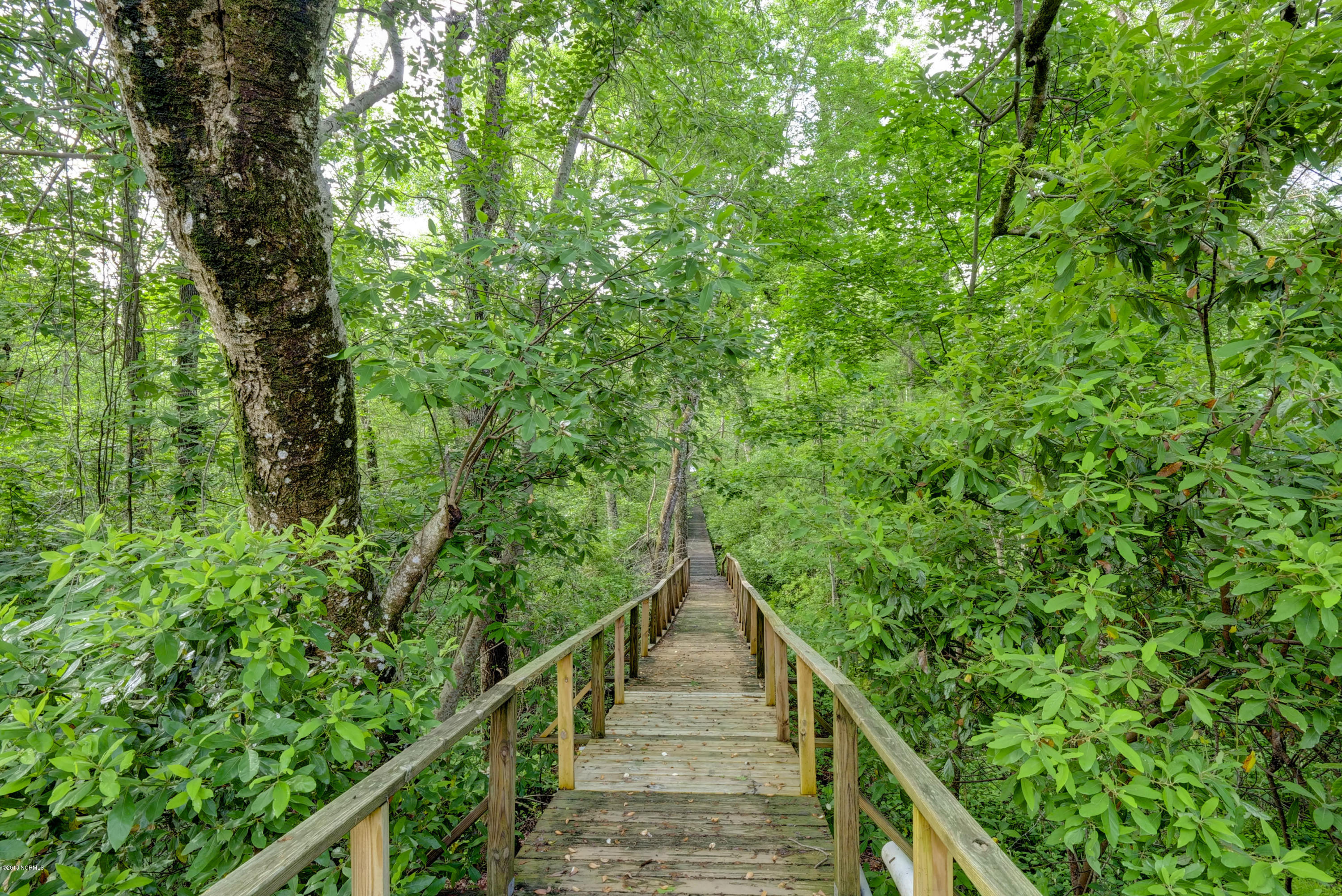 139 Goose Neck Road West Rocky Point, NC 28457 - Photo 29 of 38 Walkway to Water