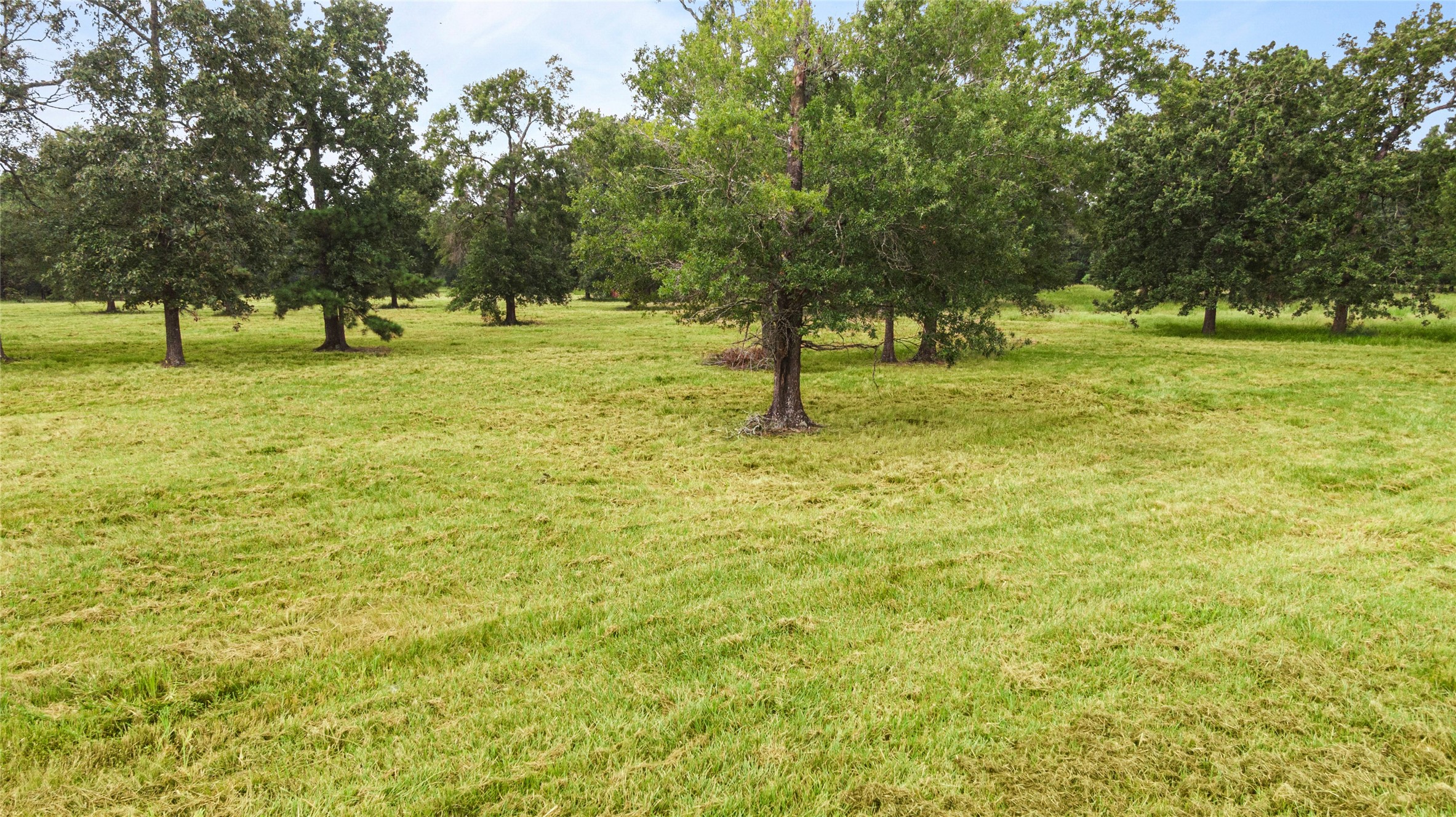 0 Turtle Road Wallisville, TX 77597 - Photo 11 of 15