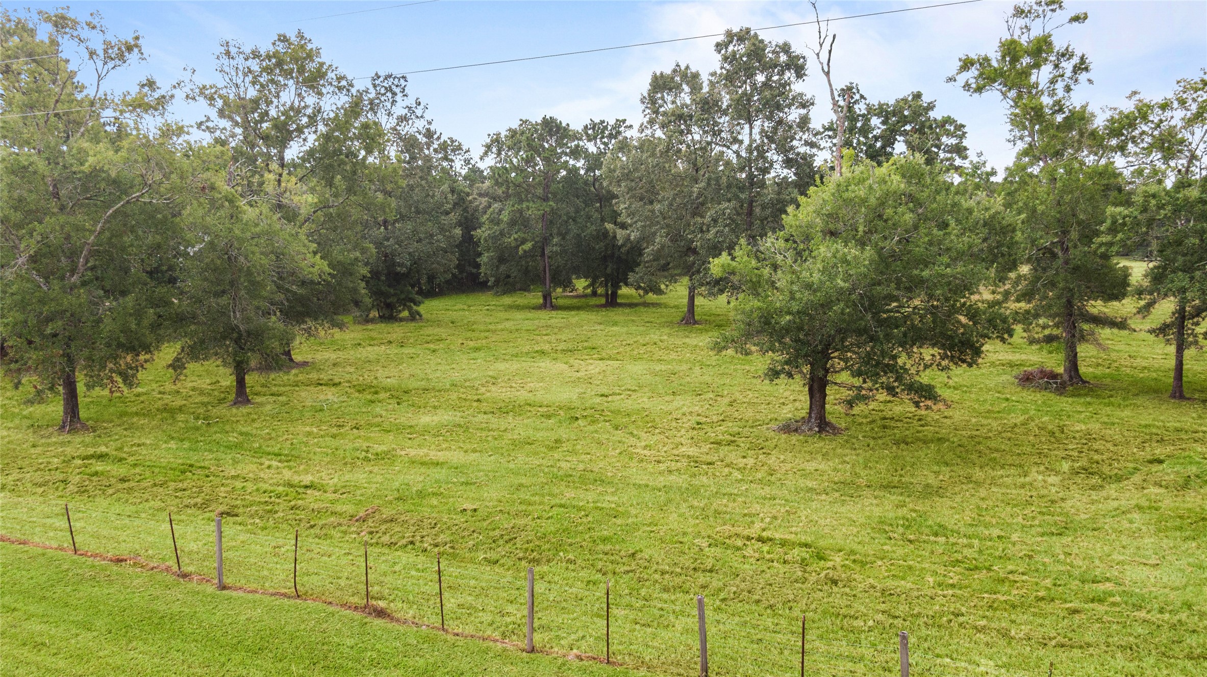 0 Turtle Road Wallisville, TX 77597 - Photo 2 of 15 Front of property looking to left. The boundary is approximately the far thick tree line.