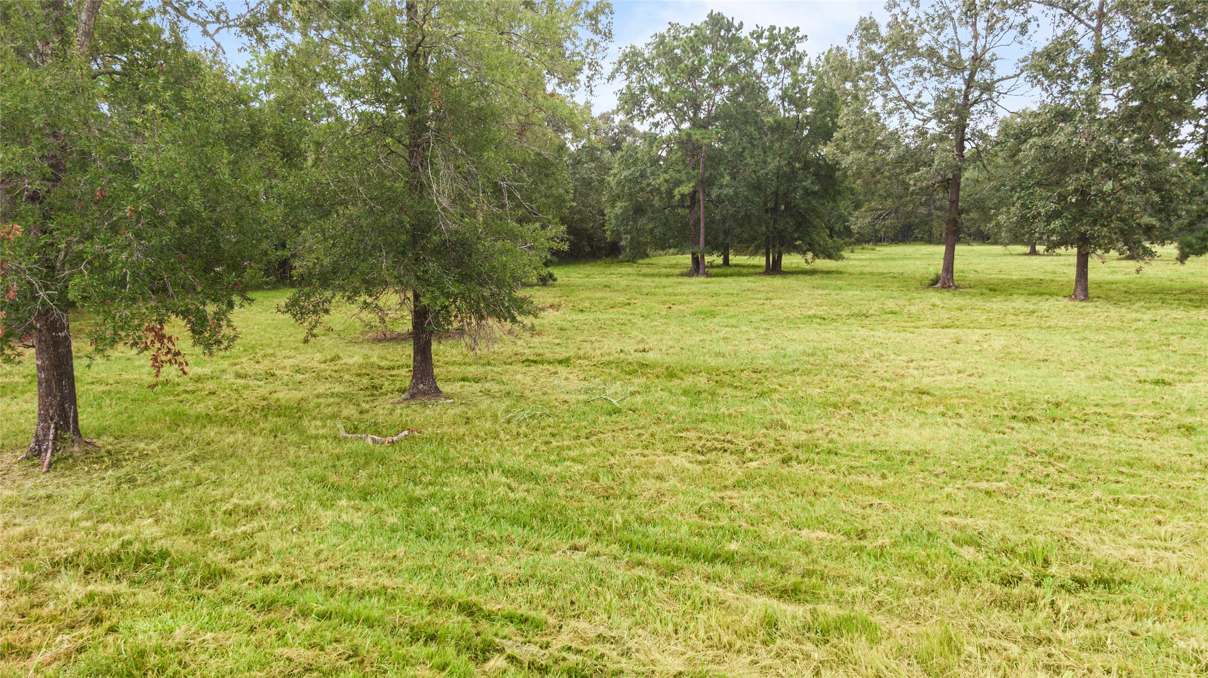 0 Turtle Road Wallisville, TX 77597 - Photo 7 of 15