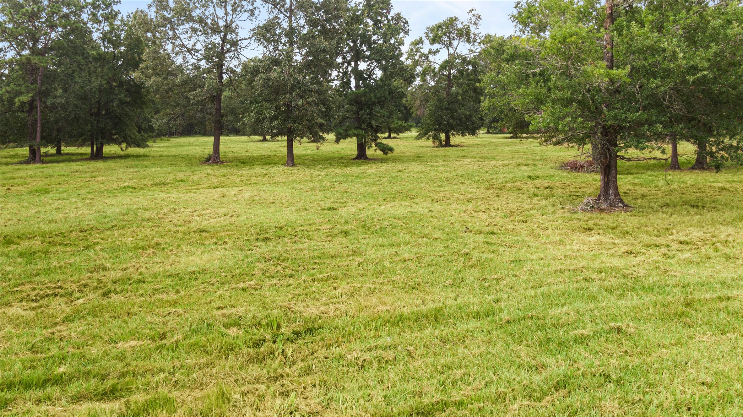 0 Turtle Road Wallisville, TX 77597 - Photo 8 of 15