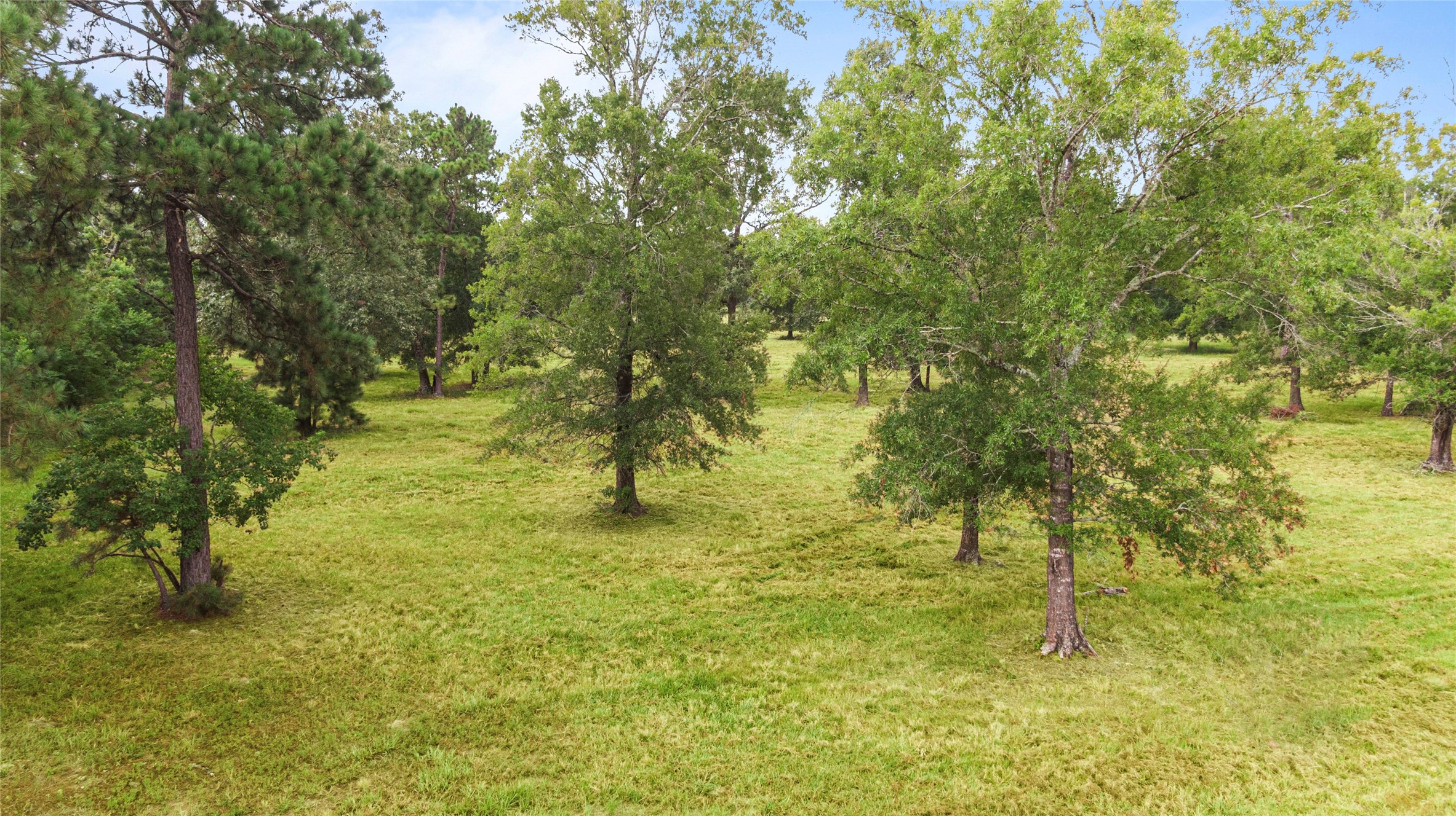 0 Turtle Road Wallisville, TX 77597 - Photo 9 of 15
