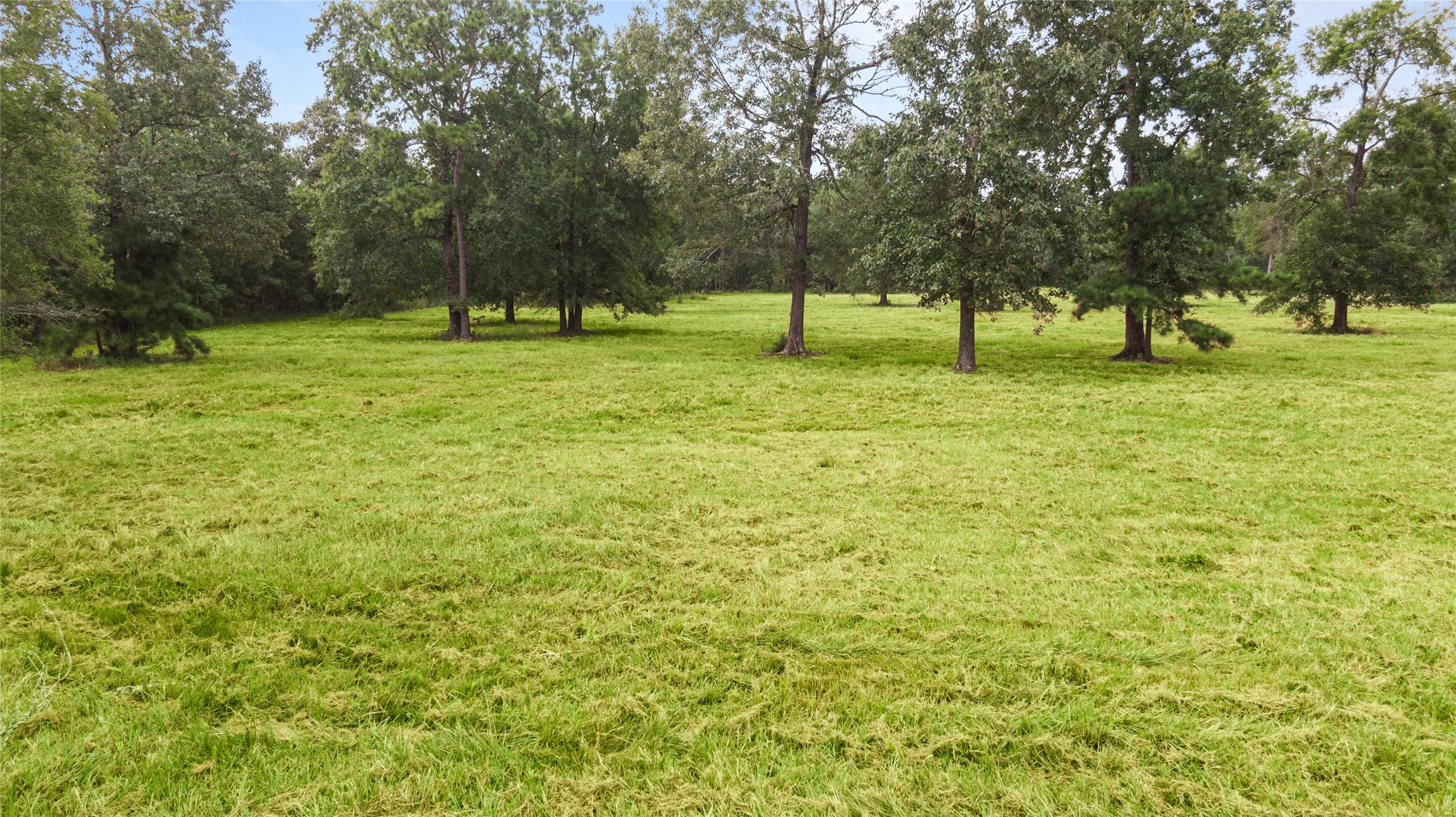 0 Turtle Road Wallisville, TX 77597 - Photo 10 of 15
