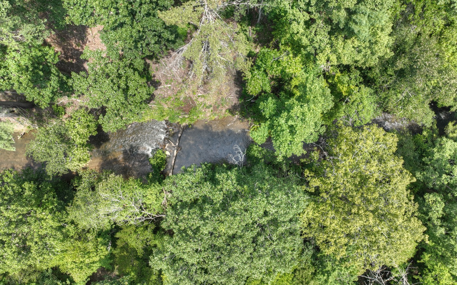3-ac Walkabout Creek Road Morganton, GA 30560 - Photo 11 of 21 Additional View