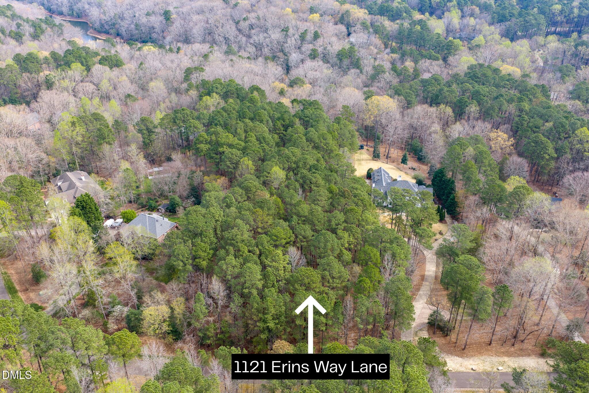 1121 Erins Way Lane Raleigh, NC 27614 - Photo 5 of 20 a view of a city with lush green forest
