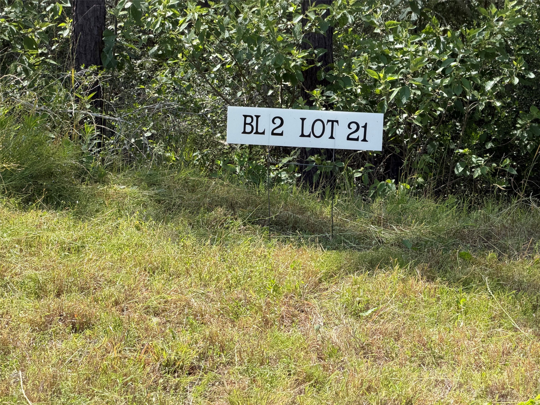 15890 Ridge Oak Road Willis, TX 77378 - Photo 1 of 11 a street sign sitting on a large tree in the yard