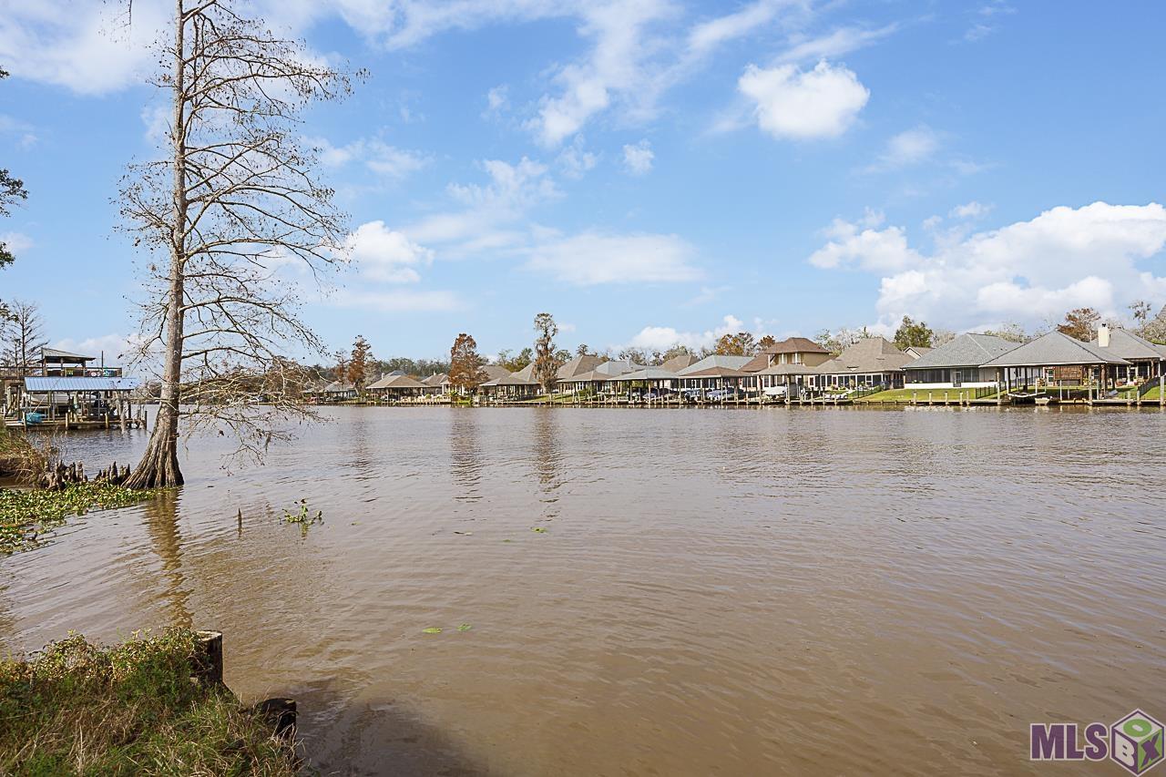 21260 Diversion Canal Road St. Amant, LA 70774 - Photo 19 of 40 Waterfront scenery