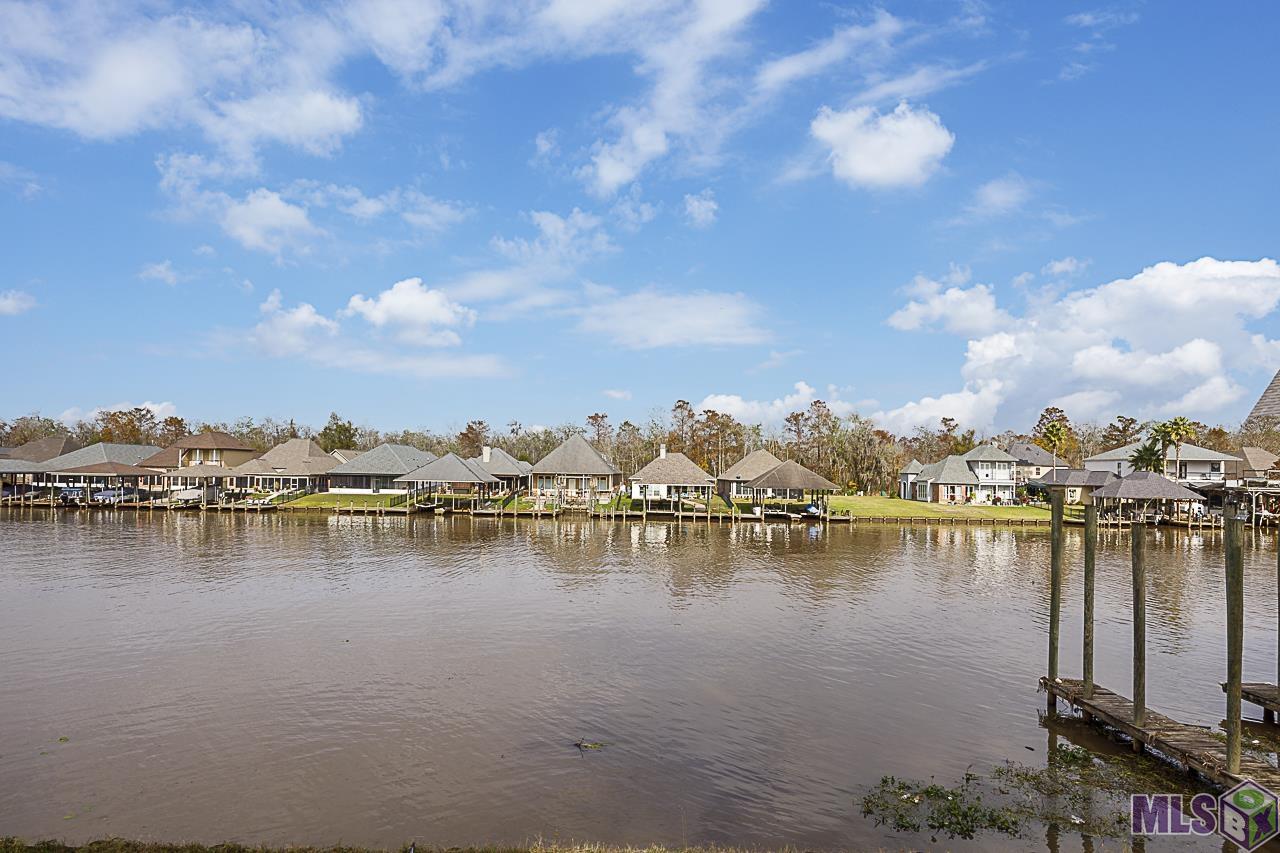 21260 Diversion Canal Road St. Amant, LA 70774 - Photo 21 of 40 Beautiful Scenery!