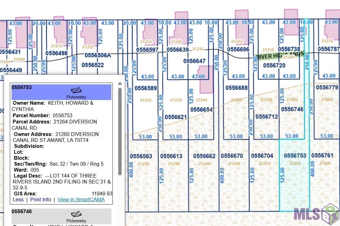 21260 Diversion Canal Road St. Amant, LA 70774 - Photo 38 of 40 Lot 144