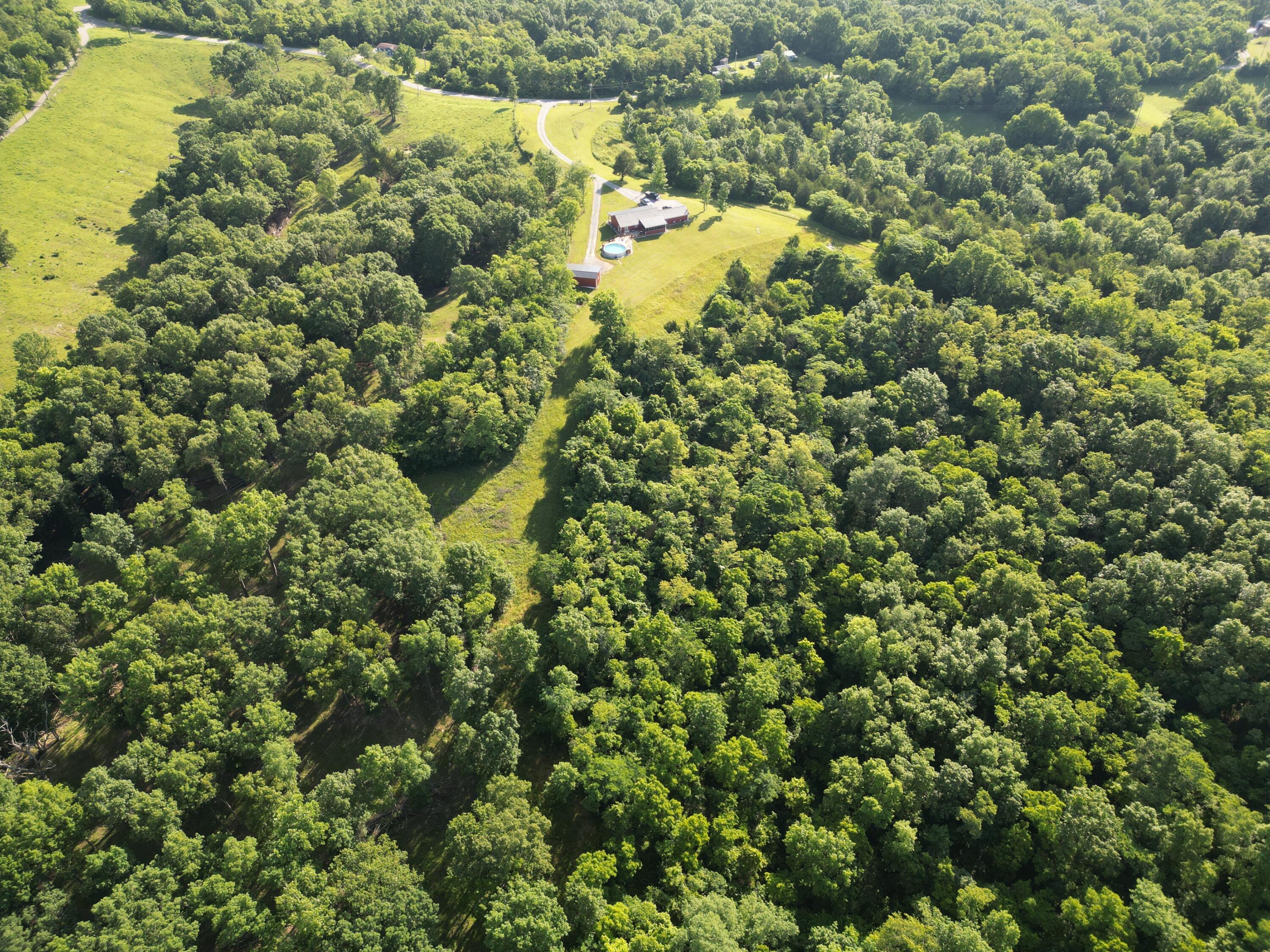 4080 Pleasant Grove Road Corinth, KY 41010 - Photo 8 of 28