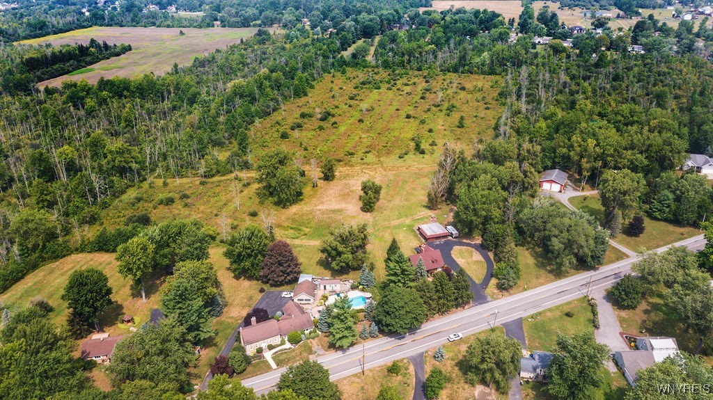 6940 Bear Ridge Road Pendleton, NY 14120 - Photo 46 of 50