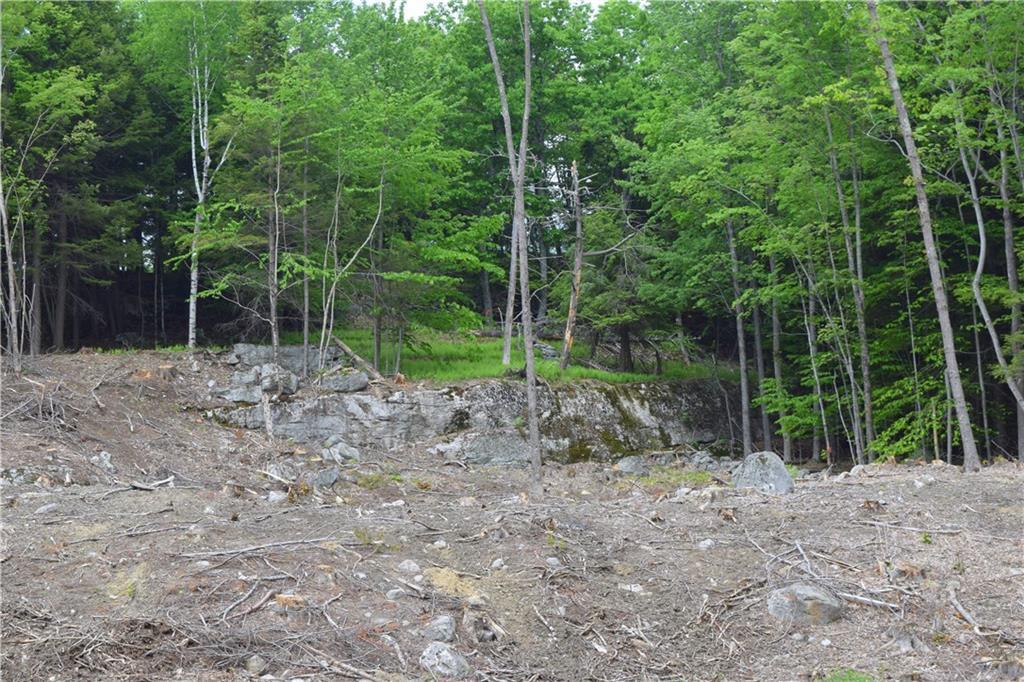 Lot 0 West Gray Road Gray, ME 04039 - Photo 8 of 13 Photo