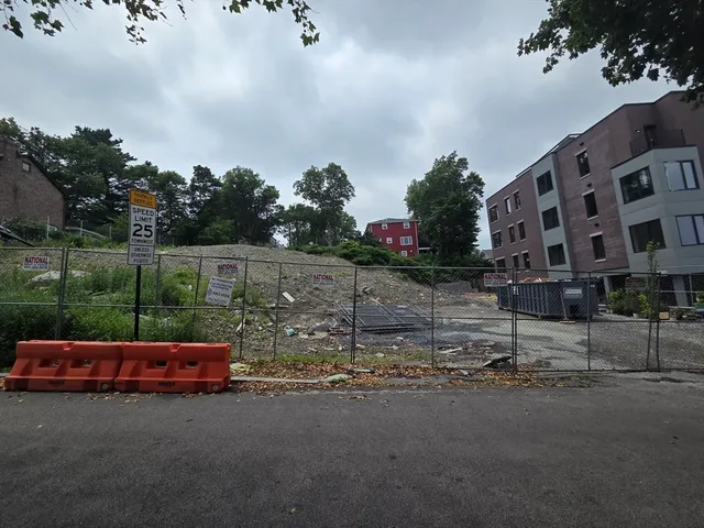 a view of a dirt road with large trees