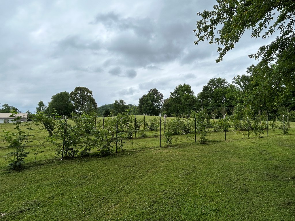 120 Morrison Road Crandall, GA 30711 - Photo 23 of 54 Gallery Image 23