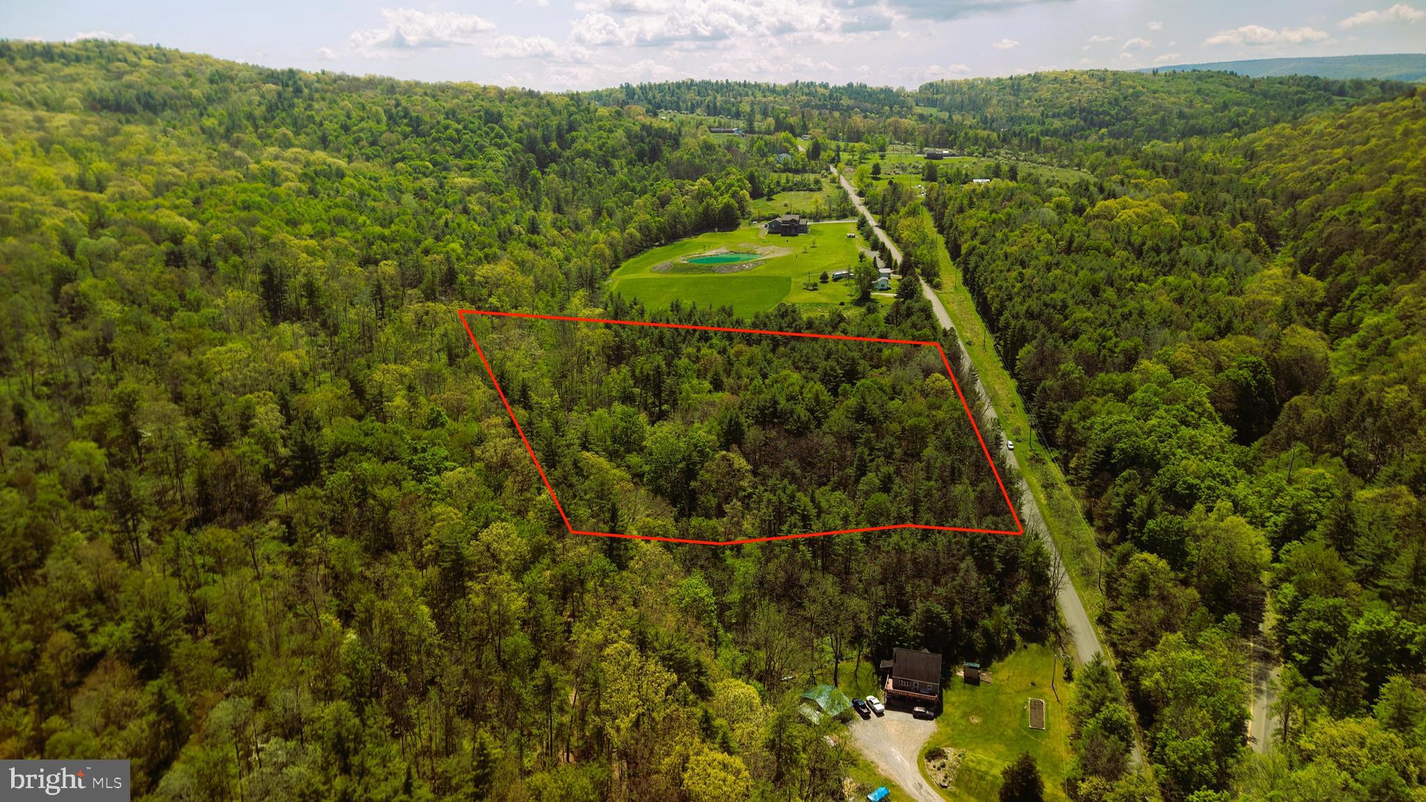 0 Kingsley Hl Road Towanda, PA 18848 - Photo 4 of 16 a view of a forest