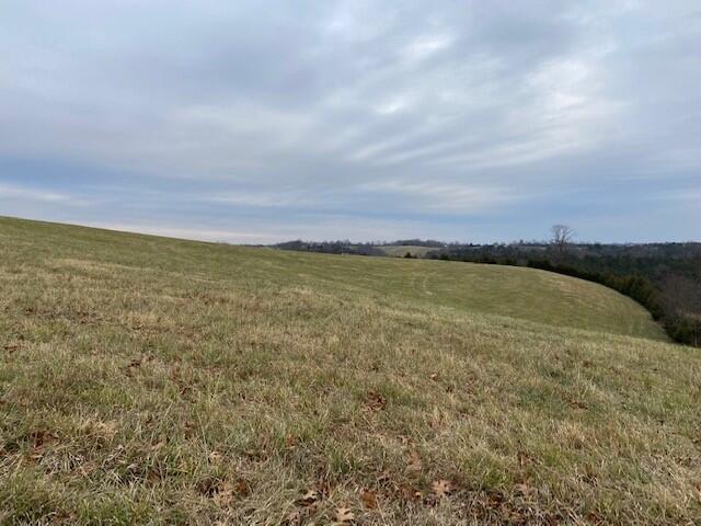 741 Mattox Road Brooksville, KY 41004 - Photo 1 of 1 Gallery Image 1