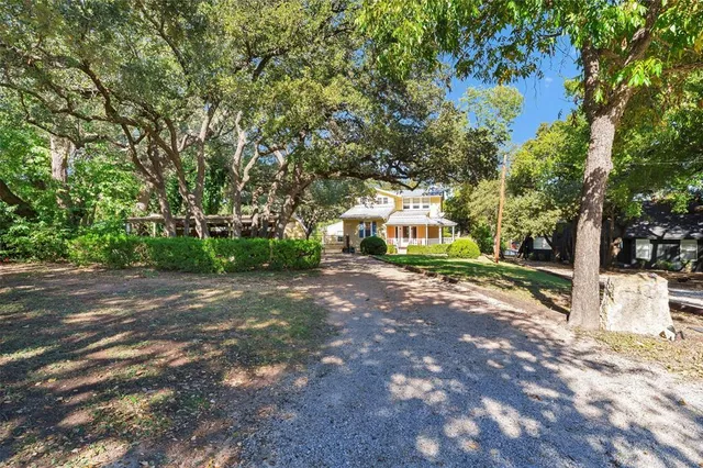 a view of a street with a tree