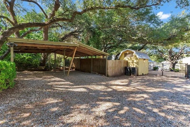 a view of a backyard with a large tree