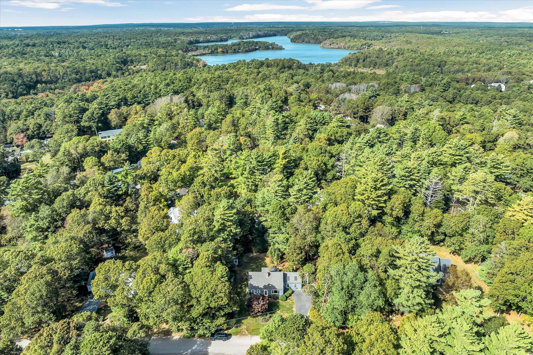 80 Curlew Way Cotuit, MA 02635 - Photo 33 of 37 a view of a big yard with lots of bushes