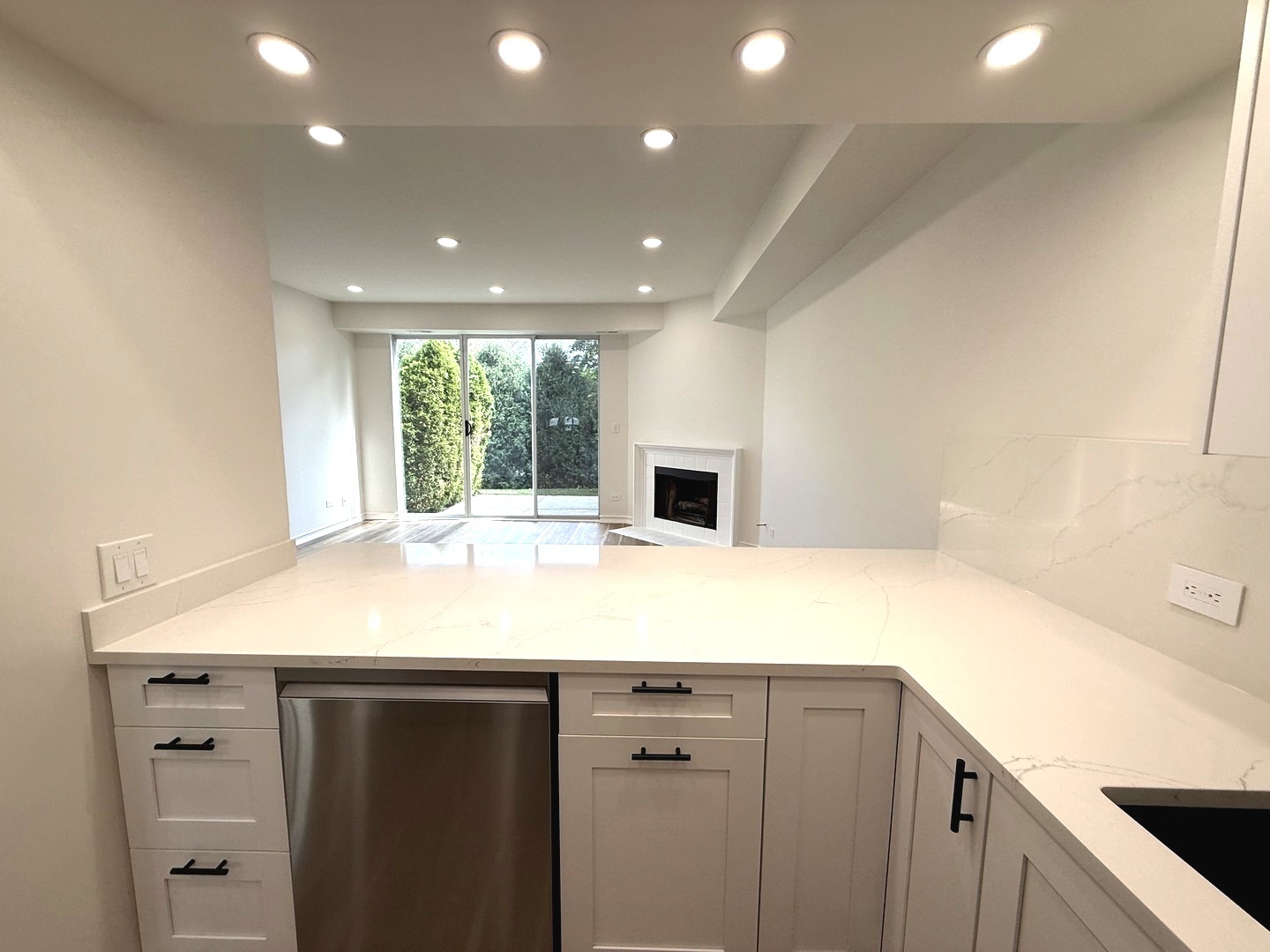 7825 Darien Lake Drive, Unit 7825 Darien, IL 60561 - Photo 2 of 11