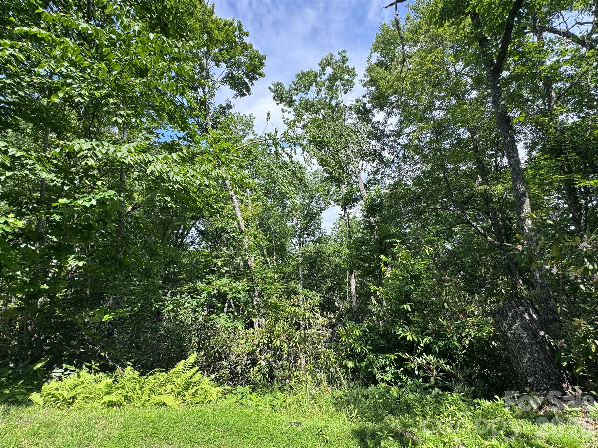 10 A Reserve Road Pisgah Forest, NC 28768 - Photo 19 of 33