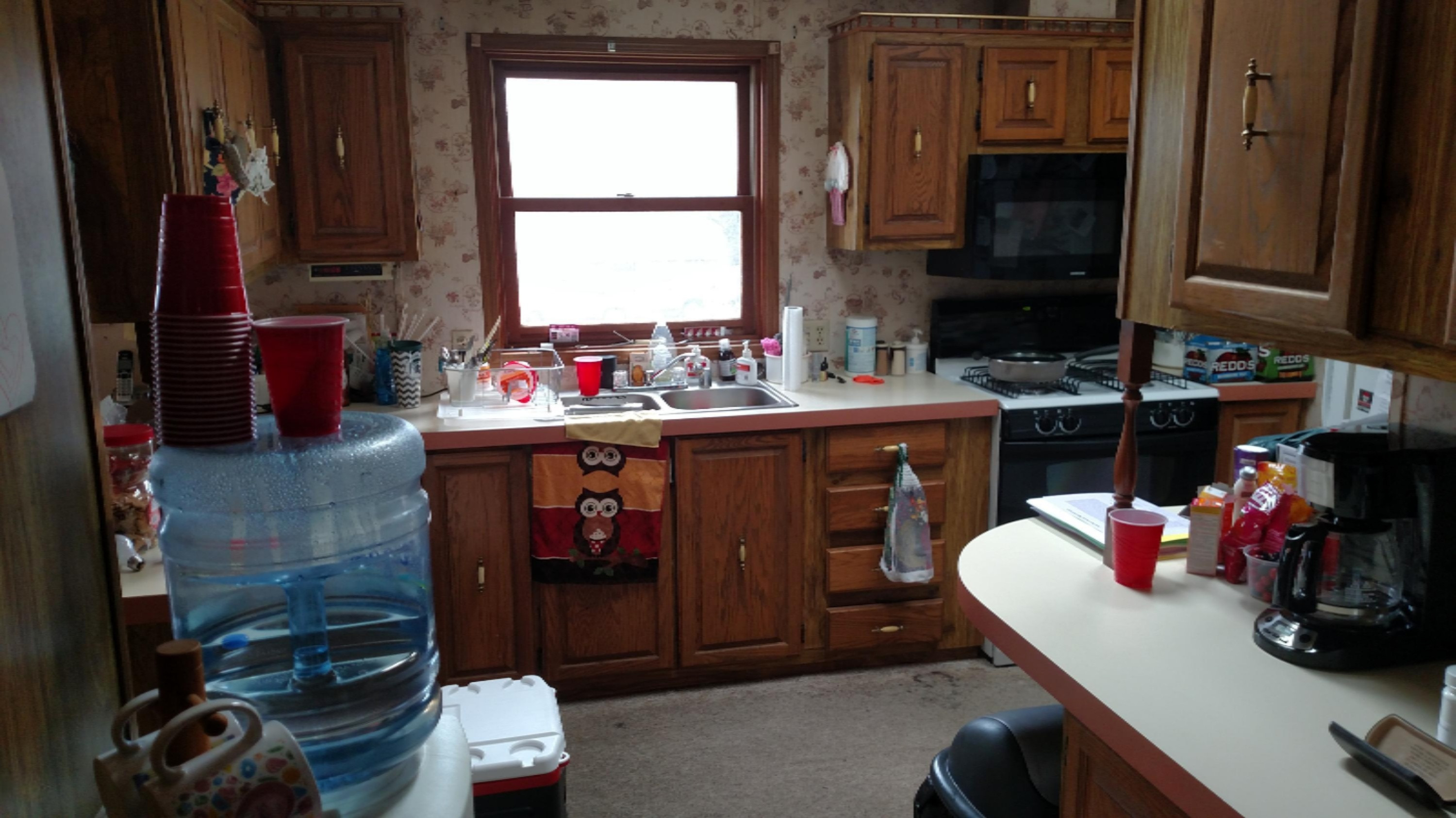 3638 East Stage Road Ionia, MI 48846 - Photo 6 of 25 IMG_20160425_160923349