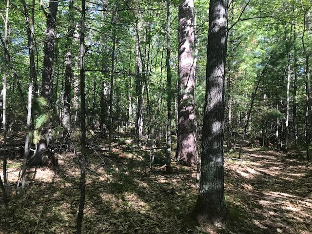 On Wakefield Lake Road, Unit 4 26 ACRES St. Germain, WI 54558 - Photo 7 of 7 Gallery Image 7