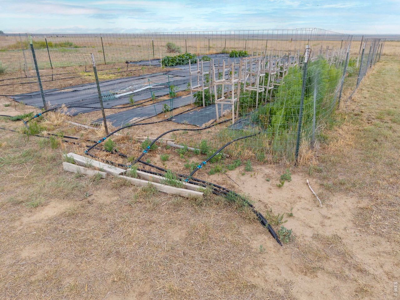 13550 Deter-Winters Road Byers, CO 80103 - Photo 38 of 50 Tomatoes, various peppers, a variety of squashes, melons and other vegetables are currently gardened with the drip irrigation system