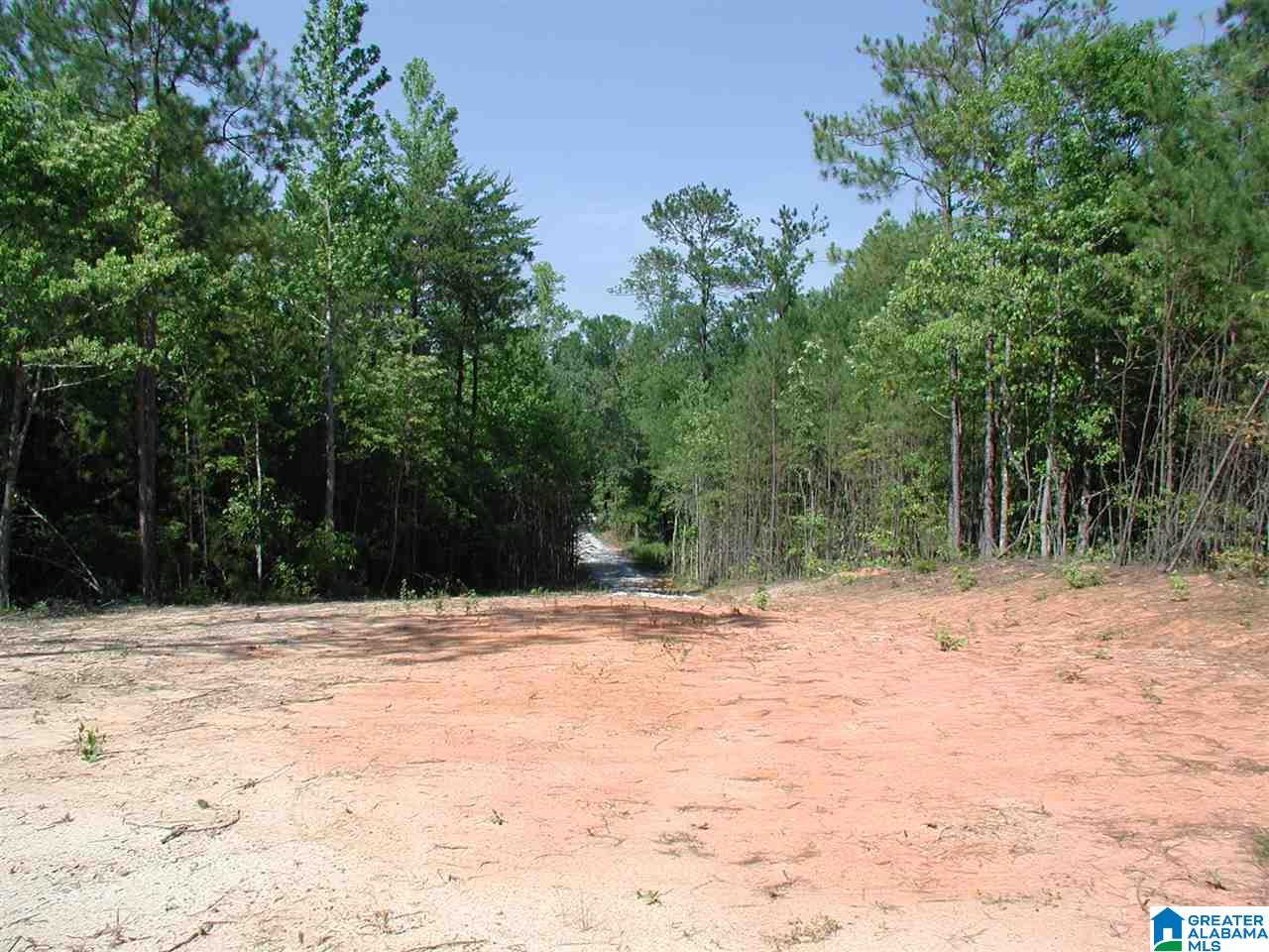 0 Macedonia Road, Unit 1 Sylacauga, AL 35150 - Photo 8 of 8