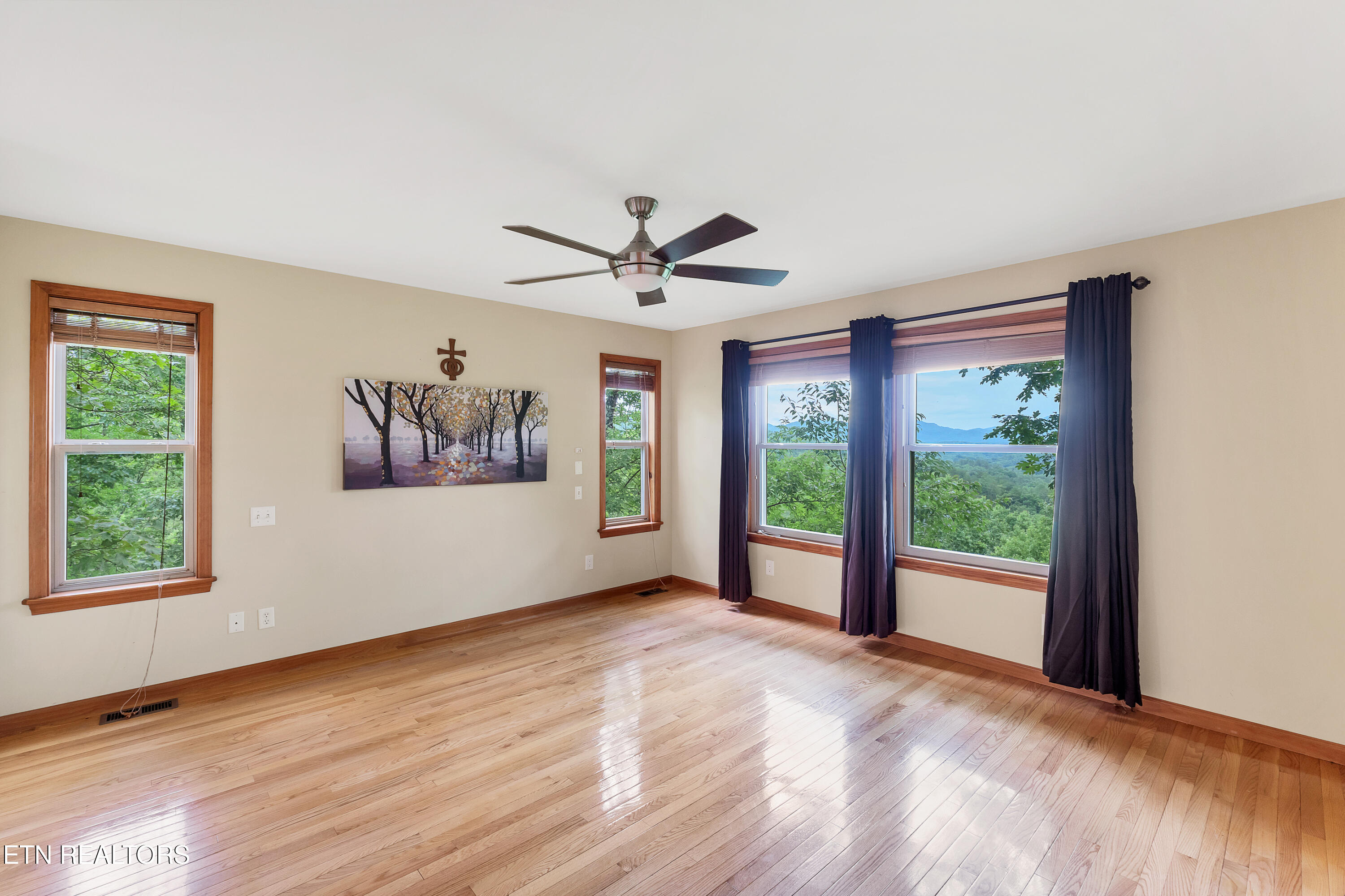 620 Hawk View Drive Townsend, TN 37882 - Photo 18 of 48 DSC04893-2