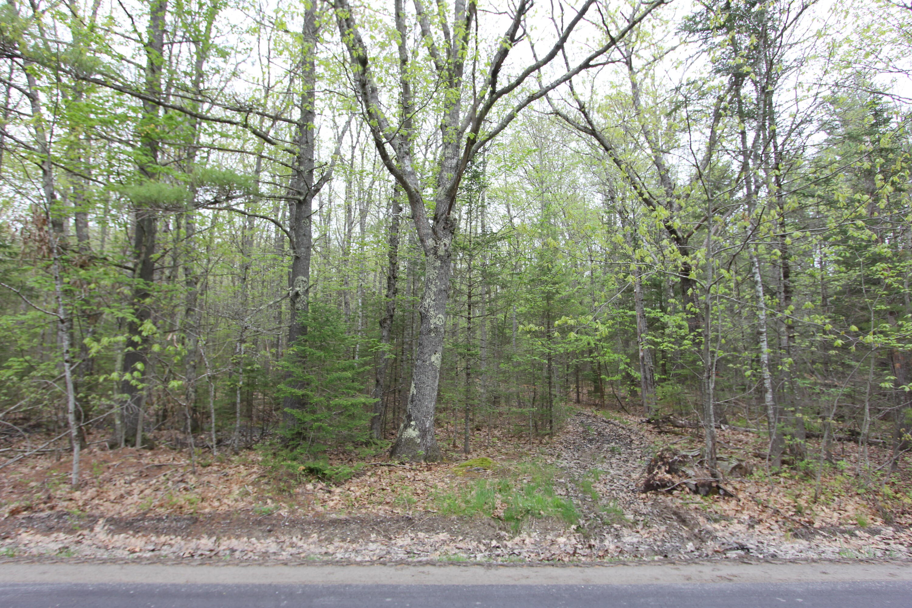 Lot 56 Carding Machine Road Bowdoinham, ME 04008 - Photo 3 of 9 IMG_9933