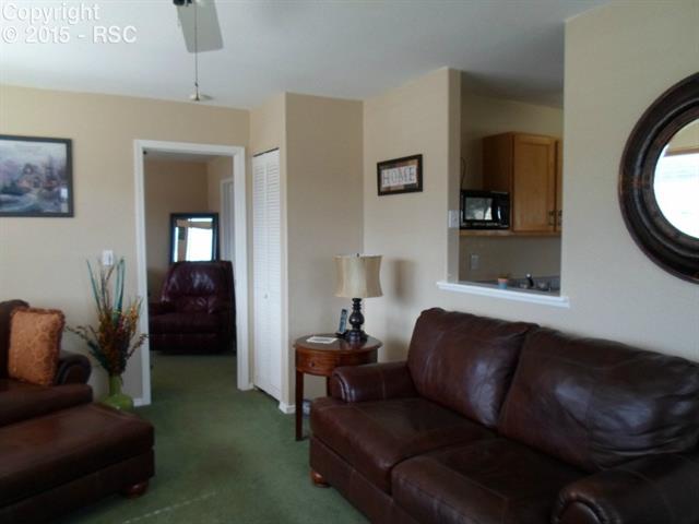 459 High Pasture Road Florissant, CO 80816 - Photo 7 of 29 Gallery Image 7