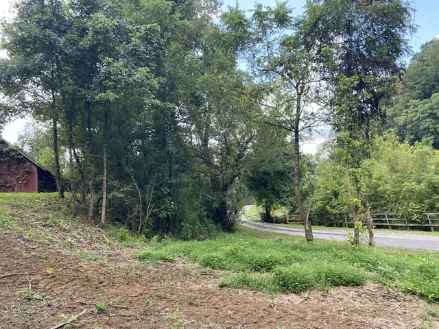 a green field with lots of trees