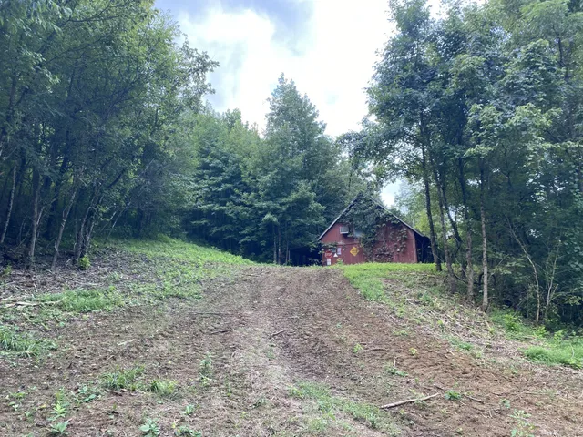 a backyard of a house with lots of green space