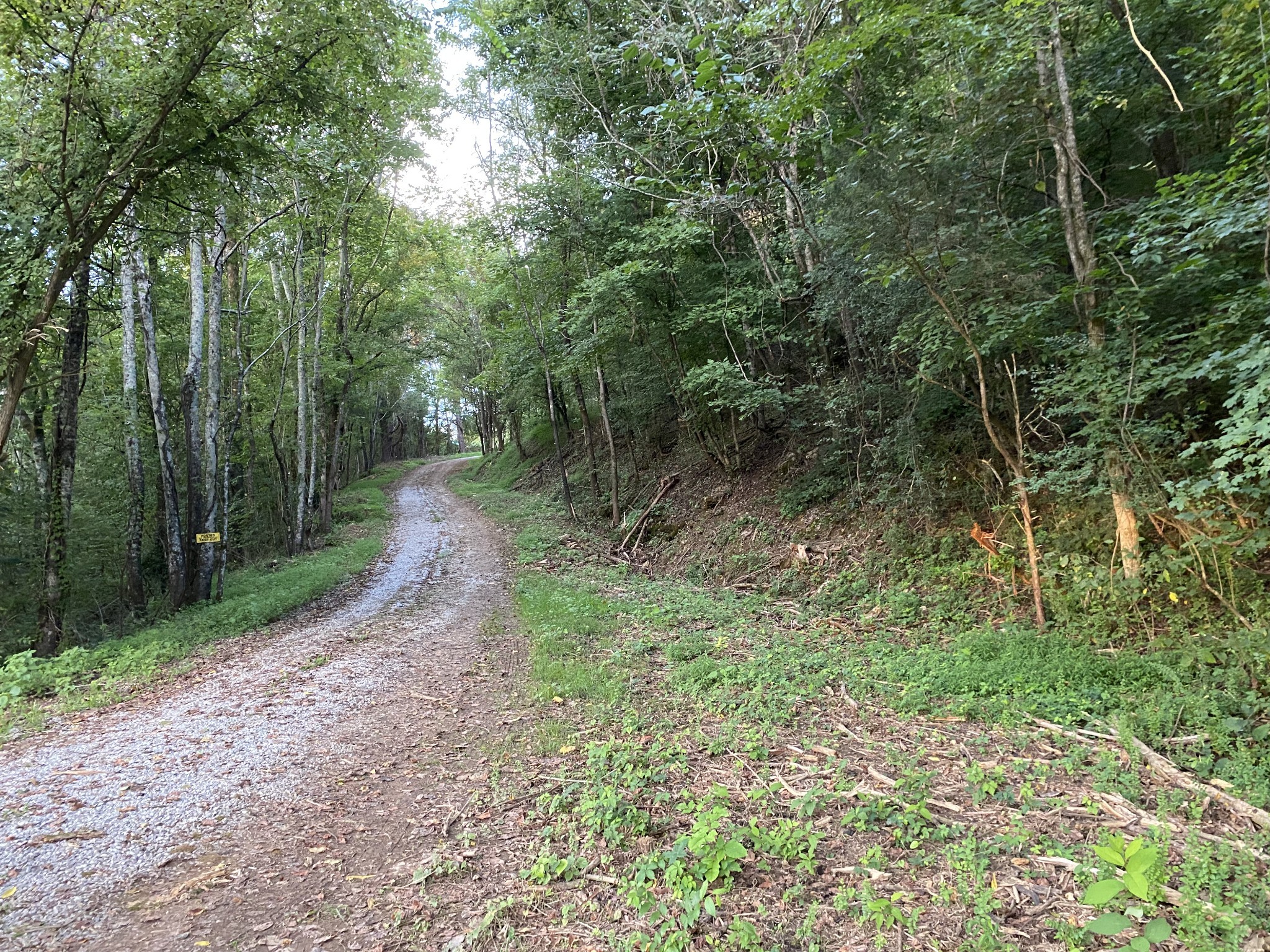255 Blooming Grove Road Pulaski, TN 38478 - Photo 2 of 16 a big yard with lots of green space and deers