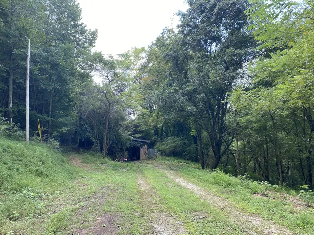 a view of a backyard