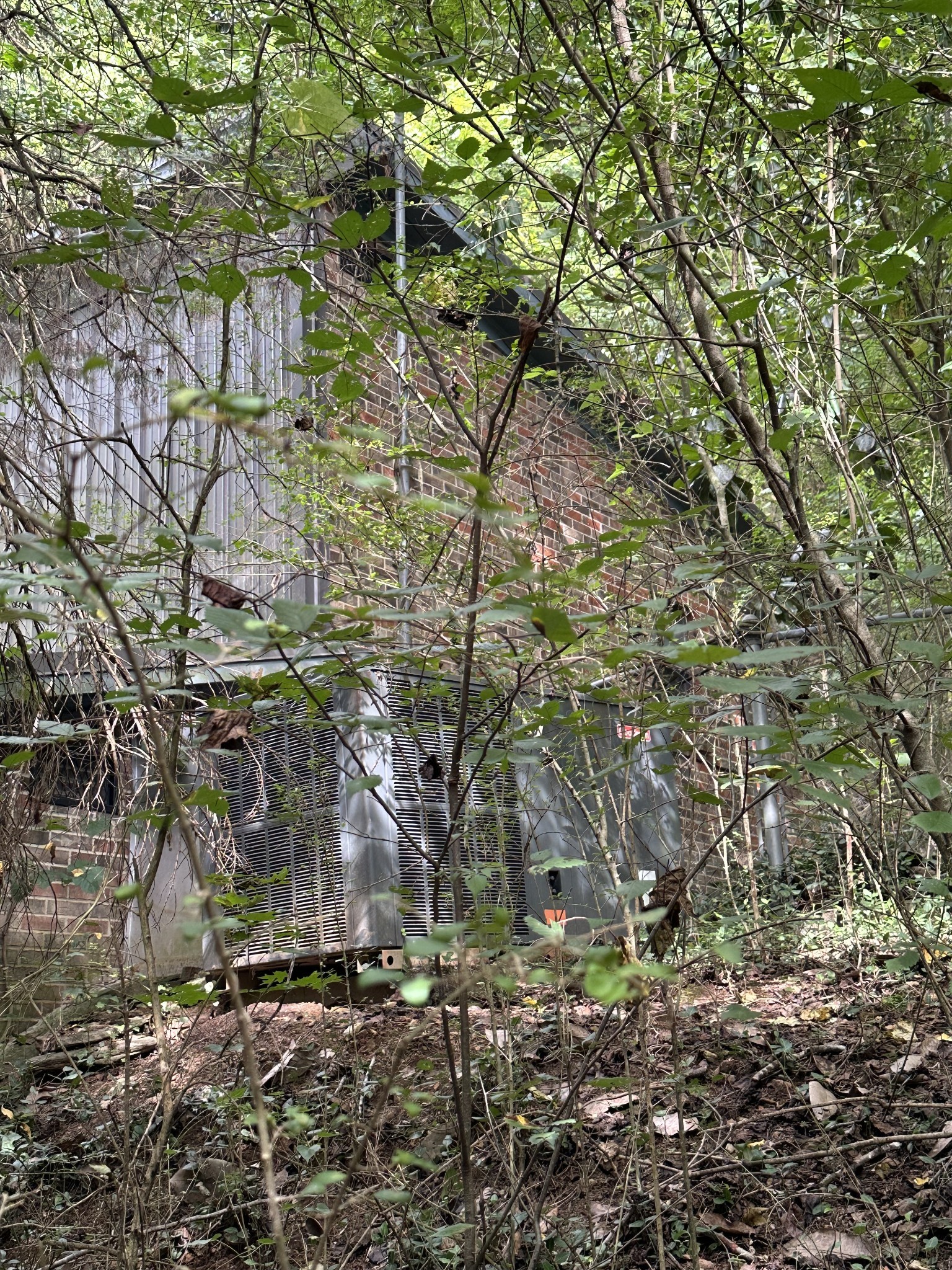 255 Blooming Grove Road Pulaski, TN 38478 - Photo 8 of 16 a backyard of a house with lots of green space