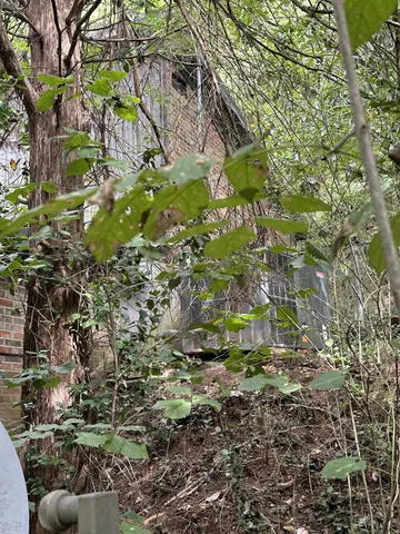 a backyard of a building